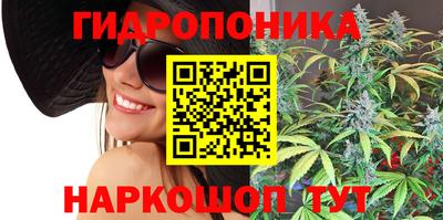 шишки Комсомольск-на-Амуре