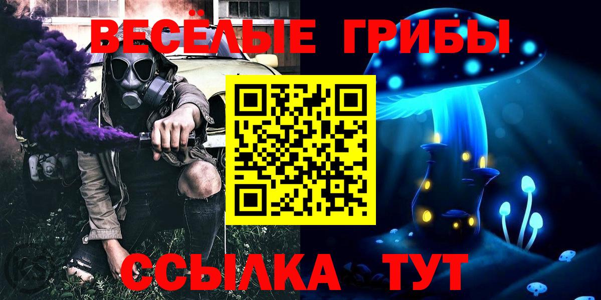 Галлюциногенные грибы прущие грибы  Вход с VPN  Клинцы  Псилоцибиновые грибы мицелий 