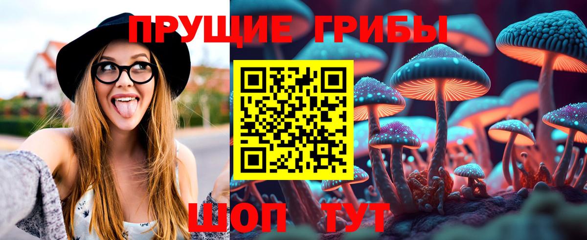 Галлюциногенные грибы Magic Shrooms Клинцы