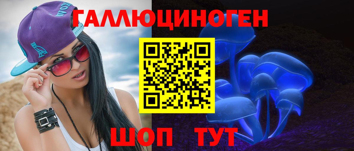 где найти наркотики  Галлюциногенные грибы GOLDEN TEACHER  Клинцы  Псилоцибиновые грибы Cubensis 